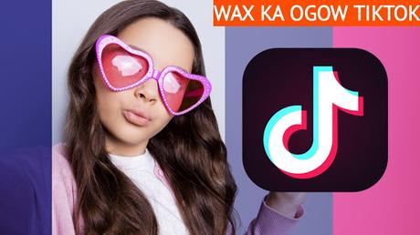 Marketing en TikTok