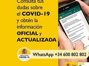 Gobierno España pone marcha Hispabot-Covid19