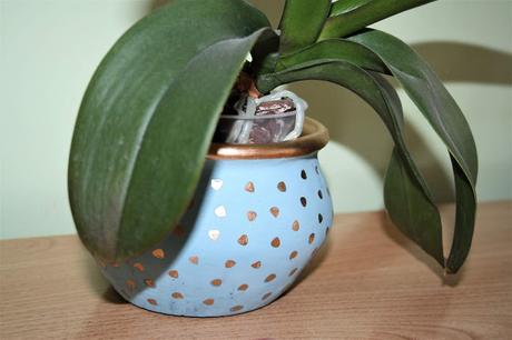 Diy: transformación de una maceta