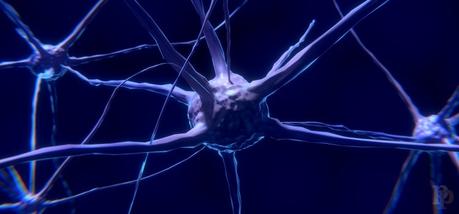 Epilepsia desde una perspectiva ontogenética