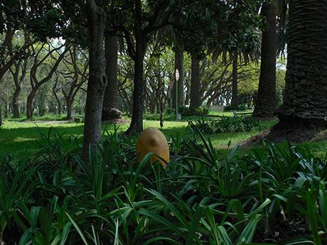 Parque del Centro Hospitalario del Norte Saint Bois  /  Paisajismo uruguayo