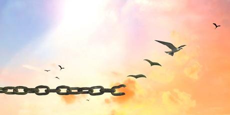 Cuándo desistir de un emprendimiento Cuándo desistir de un emprendimiento