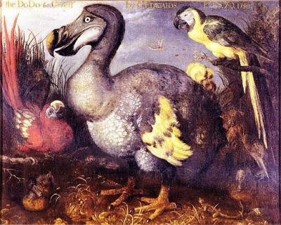 El dodo, un icono de la extinción antropogénica