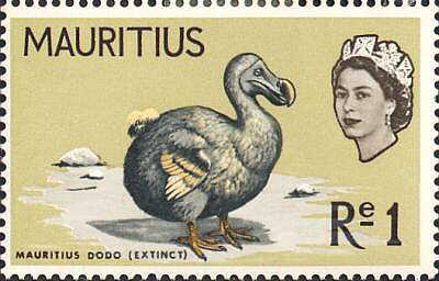 El dodo, un icono de la extinción antropogénica