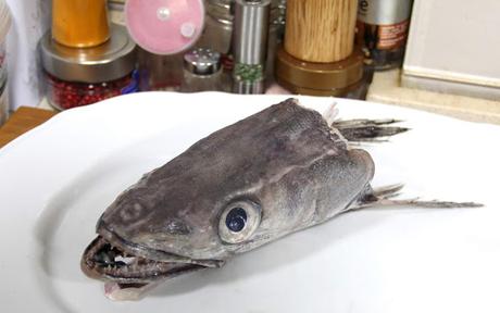 cabeza de merluza para caldos pakus lazyblog