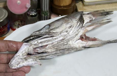 cococha o kokotxa de merluza