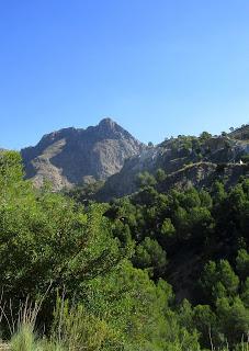 LOS MINERALES DEL SUR DE ALICANTE.