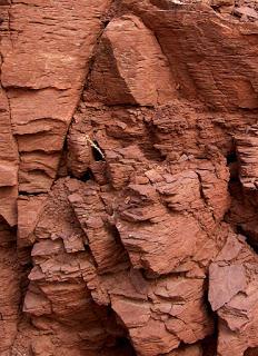 LOS MINERALES DEL SUR DE ALICANTE.