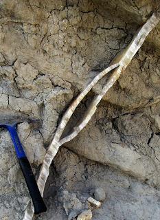 LOS MINERALES DEL SUR DE ALICANTE.