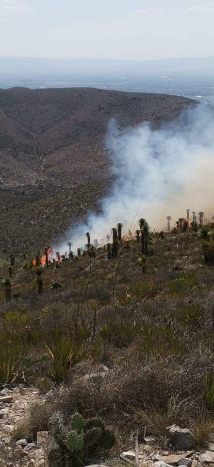 Se registra incendio forestal cerca de Cerro de San Pedro