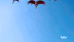 Reseña: Ángeles Caídos - Susan Ee