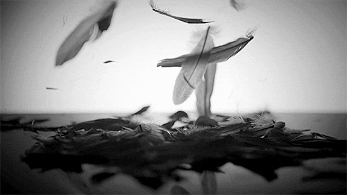 Reseña: Ángeles Caídos - Susan Ee