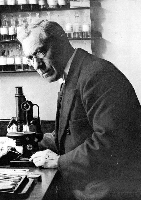 El aspecto del enemigo: el Covid-19