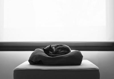 Mientras Lili duerme, todo el rato, tout le temps. Mientras Lili duerme, todo el rato, tout le temps.