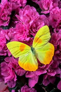 4.167 - TE HE VUELTO A VER...