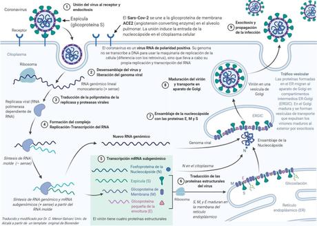 Tormenta de ideas sobre coronavirus. Post colaborativo. Tormenta de ideas sobre coronavirus. Post colaborativo.
