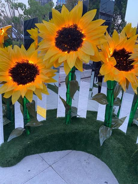 MILES DE GIRASOLES COLOREAN PASEO DE LA REFORMA EN HONOR A VAN GOGH