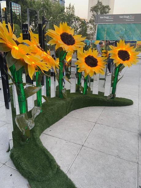 MILES DE GIRASOLES COLOREAN PASEO DE LA REFORMA EN HONOR A VAN GOGH