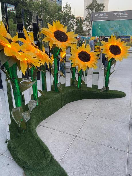 MILES DE GIRASOLES COLOREAN PASEO DE LA REFORMA EN HONOR A VAN GOGH