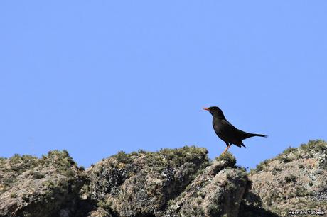 La quebrada de los cóndores