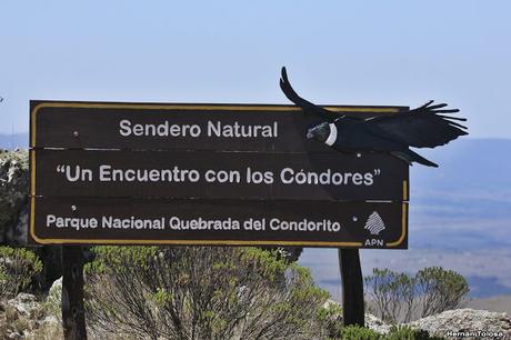 La quebrada de los cóndores