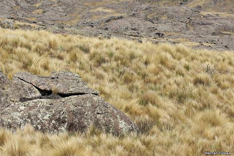 La quebrada de los cóndores