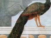 Orgullo prejuicio, Jane Austen