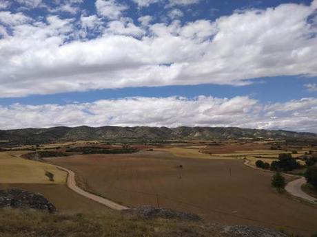 Flora y fauna de Cuenca (flora)
