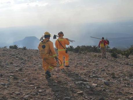 Bomberos combatieron incendio forestal  en Cerro de San Pedro