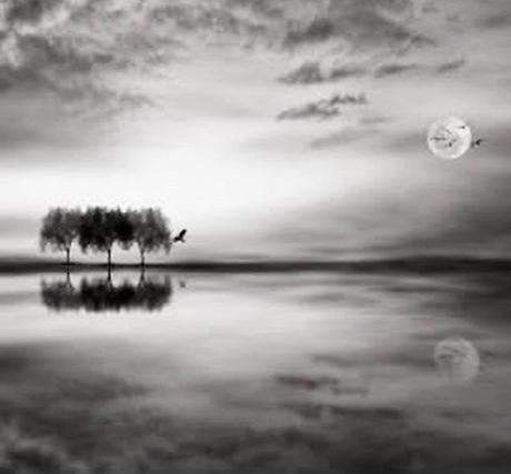 La imagen puede contener: cielo, nubes, árbol, exterior, agua y naturaleza