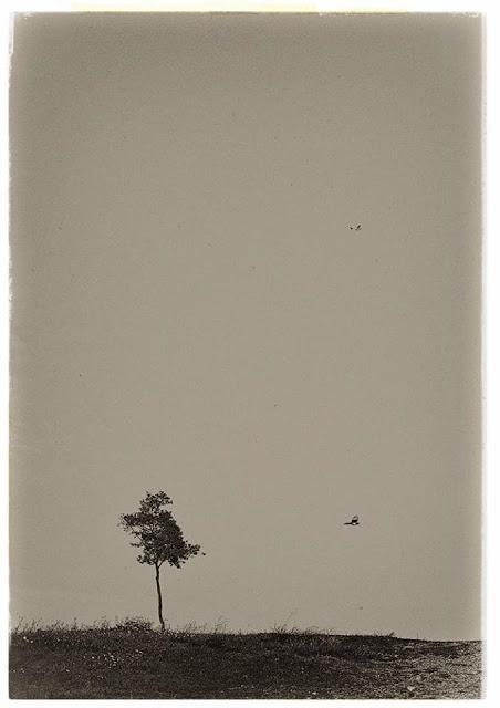 Pesadilla en Semana Santa.