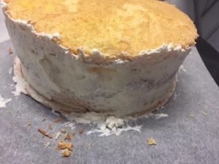 MONA 2020 TARTA SANT MARCOS O MASSINI