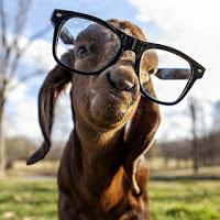 Antonio García Villarán