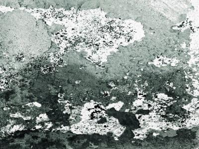 ¿Cómo eliminar el moho en las paredes?