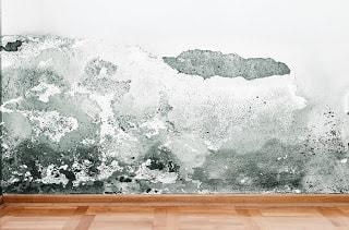 ¿Cuál es el coste de las humedades cada año?