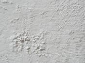 Tipos humedades comunes