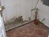 Especialistas humedades bajos sótanos