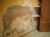 Como eliminar humedad dentro armario