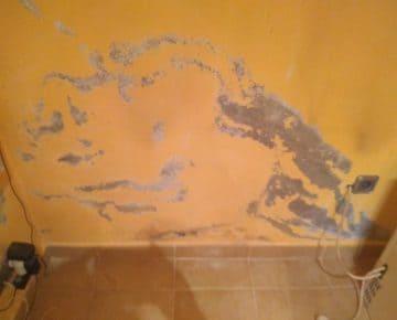 Eliminar las humedades que se ven y las que no se ven