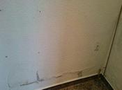 Sacar humedades casa