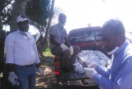 Los países caribeños ricos y los más empobrecidos sufren idéntico perjuicio sanitario y económico por el vil “coronavirus”