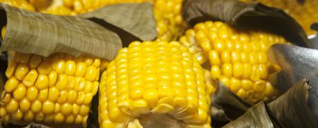 Empanada Gallega - Receta de masa de maiz para empanadas