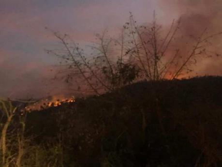 Se registran varios incendios forestales en la Huasteca Potosina