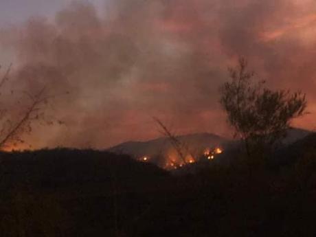 Se registran varios incendios forestales en la Huasteca Potosina