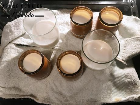 Yogur casero sin lactosa