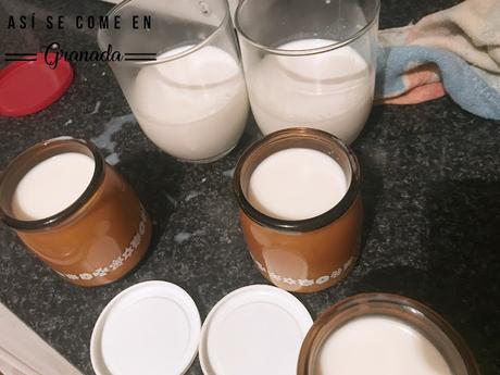 Yogur casero sin lactosa