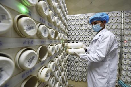 En esta fotografía publicada por la agencia noticiosa Xinhua, un farmacéutico procesa gránulos de la medicina tradicional china en el hospital provincial de Gansu especializado en este tipo de medicina, en Lanzhou, en la provincia noroccidental china de Gansu, el jueves 20 de febrero de 2020. La medicina tradicional china se ha utilizado ampliamente para combatir la enfermedad causada por el nuevo coronavirus. 