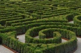 El Jardín Laberinto, Borges en Venecia El Jardín Laberinto, Borges en Venecia