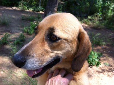 BEKO, FIDELIDAD POR EXCELENCIA, 1 AÑO ESPERANDOTE!!. (BARCELONA)