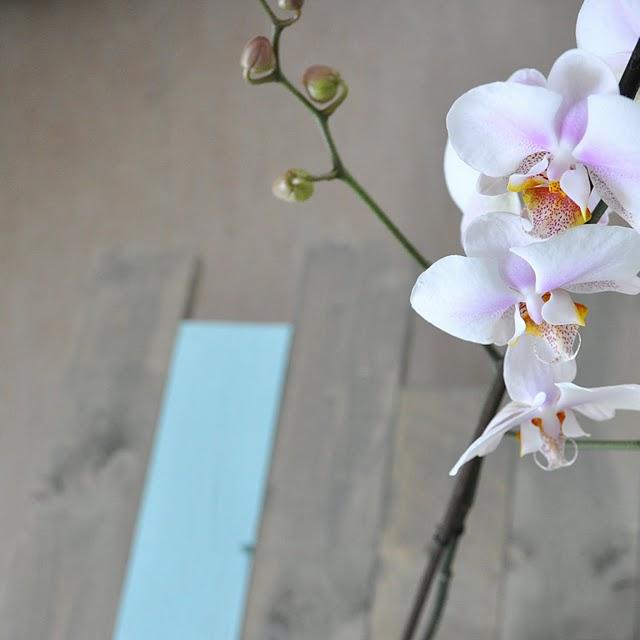 Diy: una mesa de centro con 8 tablas